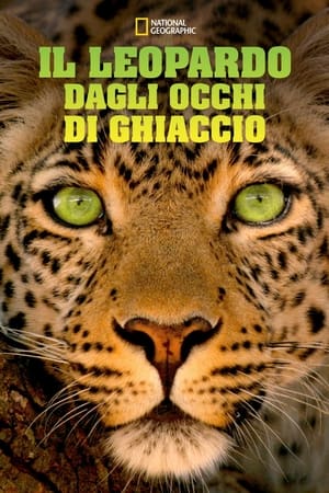 Poster Jade Eyed Leopard 2020