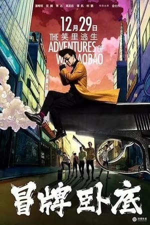 Poster The Adventures of Wei BaoBao 2016