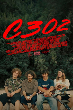 C302 8