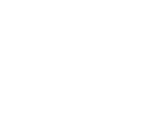 Bingo y Rolly — Logos 4