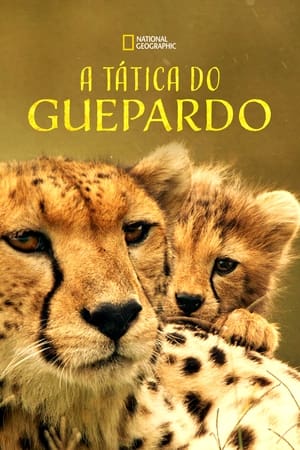 The Way of the Cheetah