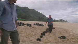 Lost Season 2 Episode 19