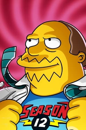 Les Simpson - Saison 12 - poster n°5