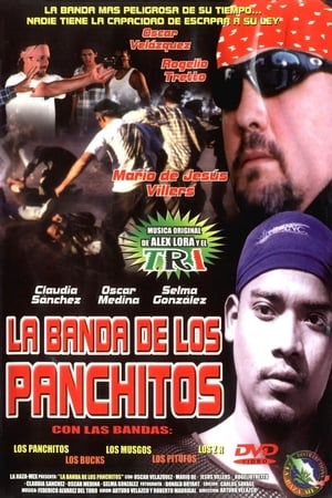 Poster La banda de los panchitos 1987