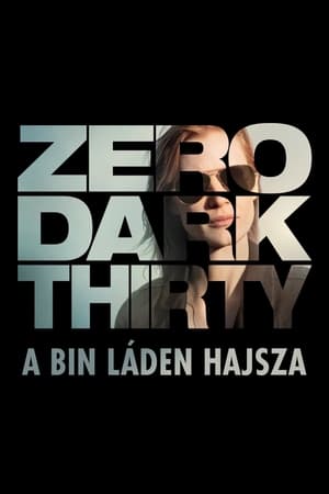 Poster Zero Dark Thirty - A Bin Láden hajsza 2012