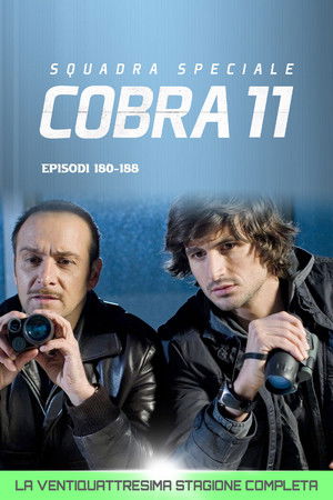Squadra Speciale Cobra 11: Stagione 24
