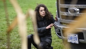 Orphan Black: 3×4