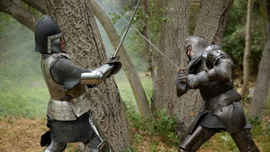 Immortal Combat