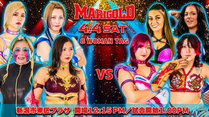 Marigold Spring Victory Series 2026 ~ Day 8