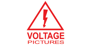 Voltage Pictures