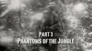 Image Part 3: Phantoms of the Jungle