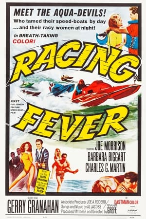 Racing Fever poster