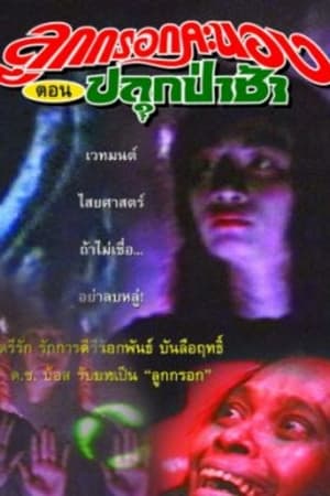 Poster Luk Krook Fiery Episode: Awaken the Cemetery (1990)