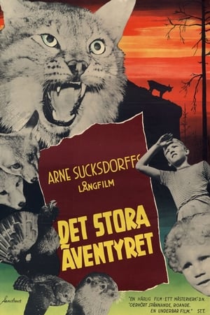 Poster Det stora äventyret 1953