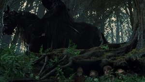 Images posters