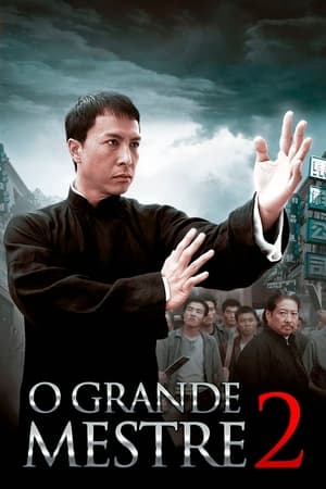 Ip Man 2 2010