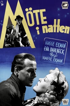 Poster Meeting in the Night (1946)