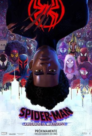 poster Spider-Man: Across the Spider-Verse