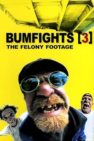 Poster Bumfights Vol. 3: The Felony Footage 2004