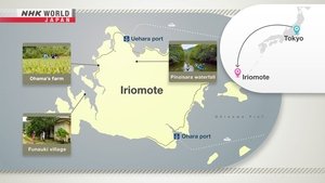 Journeys in Japan: 13×15