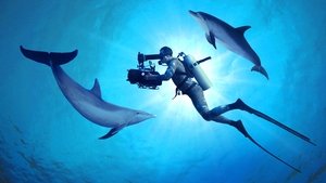 DIVING WITH DOLPHINS (2020) DISNEY+