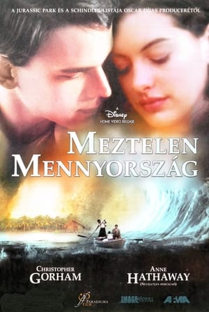 Poster Meztelen mennyország 2001