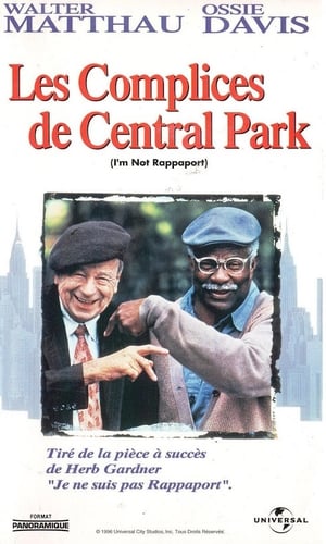Poster Les Complices De Central Park 1996