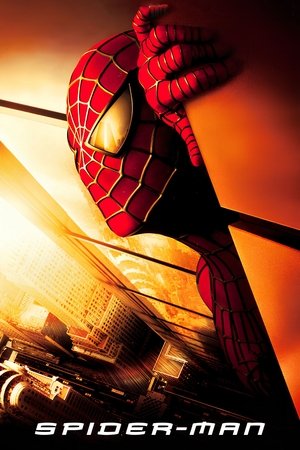 Image Spider-Man