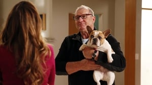 Modern Family: Stagione 5 x Episodio 22