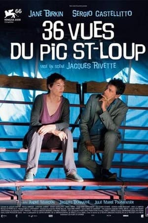 Poster 36 Ansichten des Pic Saint-Loup 2009