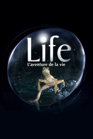 Poster Life, l'aventure de la vie 2009