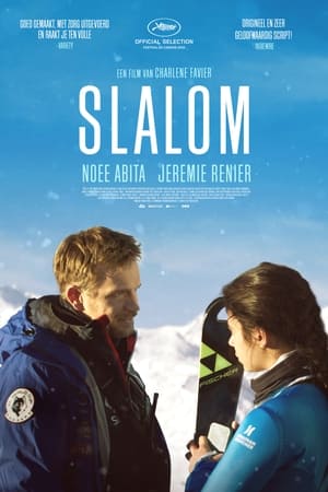 Poster Slalom 2020