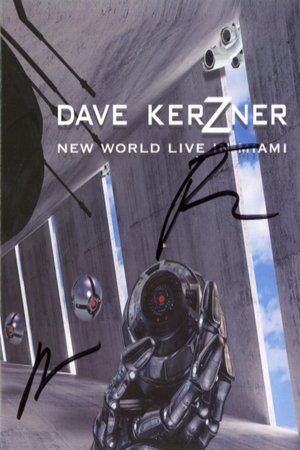 Dave Kerzner - New World Live in Miami