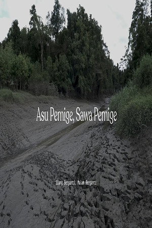 Asu Pemige Sawa Pemige