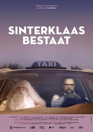 Sinterklaas Bestaat (2017)