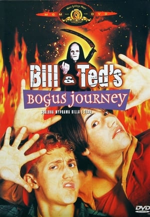 Szalona Wyprawa Billa i Teda (1991)