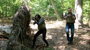 Blindspot: 1×7