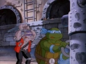 Teenage Mutant Ninja Turtles: 3×13