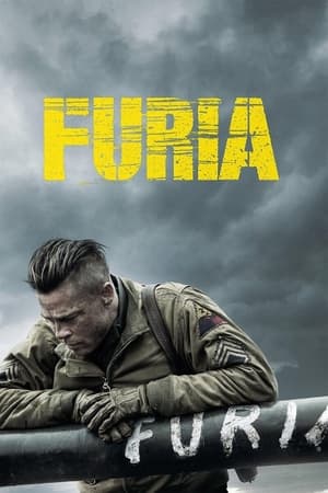 Poster Furia 2014