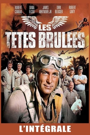 Les Têtes brûlées - poster n°2