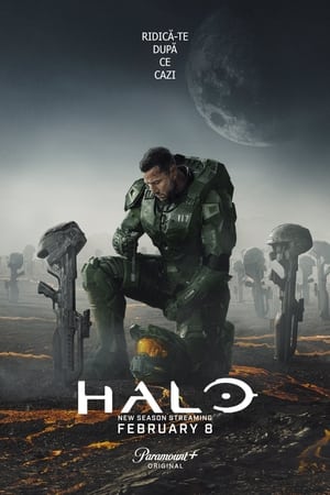 Poster Halo 2022