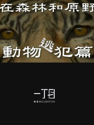 在森林和原野-動物逃犯篇