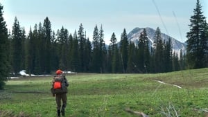 MeatEater Mountain Memories: Montana Bear