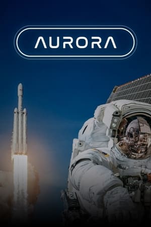 Poster Aurora 2022