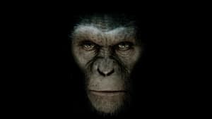 Planeta dos Macacos: A Origem – Online Dublado e Legendado Grátis