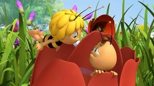 Maya the Bee Willy's Misfortune