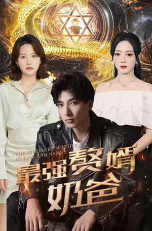 最强赘婿奶爸