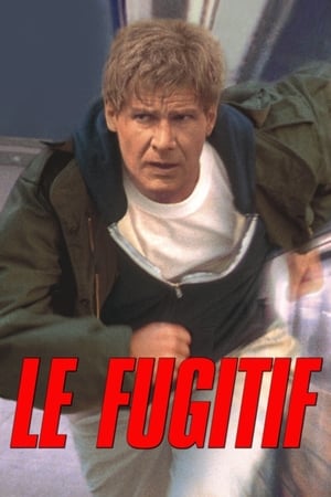 Poster Le Fugitif 1993