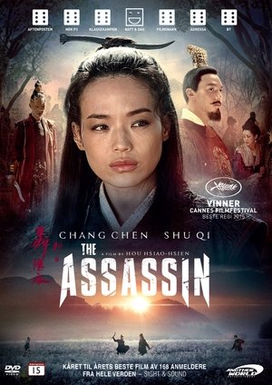 The Assassin (2015)