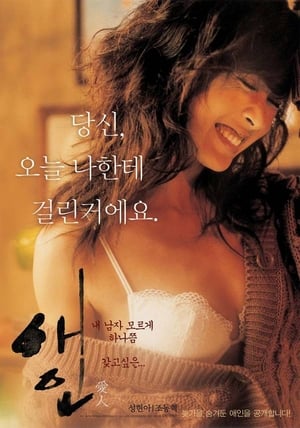 Poster A szerető 2005